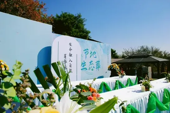 自然生态葬
树葬、海撒等